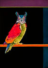 What A Hoot!