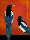 Magpie Blues