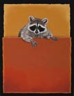 Portrait Of A Raccooon