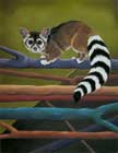 Ringtail Cat