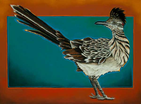 Still Life of a Roadrunner